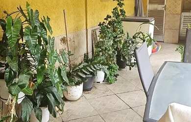 Imagem 5: D13-Paraiso,SG-Casa ampla 3qtsc/1ste,gar,2coz,quintal c/qto,piscina,churrasqueira,Ac.Finan