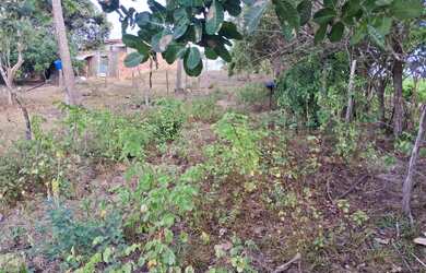 Imagem 5: Terreno Próximo à Praia e Dunas de Areia