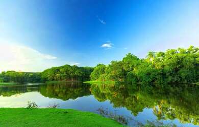 Imagem 3: Lote/Terreno para venda tem 1532 metros quadrados