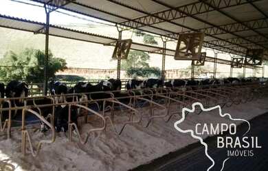 Imagem 16: Linda Fazenda no Sul de Minas Muito conforto e excelentes condições