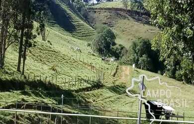 Imagem 13: Linda Fazenda no Sul de Minas Muito conforto e excelentes condições