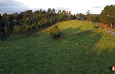 Imagem: A fazenda possui 31.235m² de Área e está localizado em Nova
