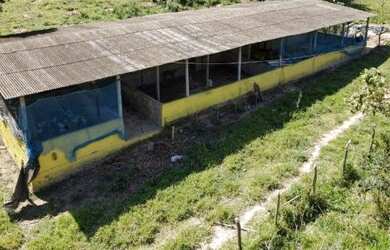 Imagem 7: Fazenda à Venda em Candeias - BA Fazendas à Venda na Bahia 32 Hectares...