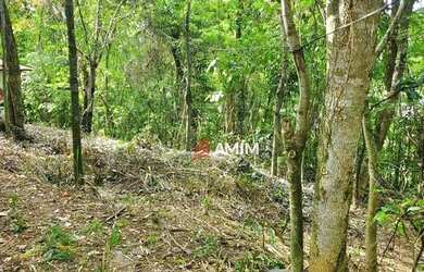 Imagem 11: Terreno à venda, 7963 m² por R$ 3.700.000,00 - Itaipu - Niterói/RJ