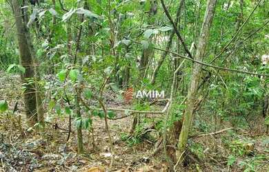 Imagem 5: Terreno à venda, 7963 m² por R$ 3.700.000,00 - Itaipu - Niterói/RJ