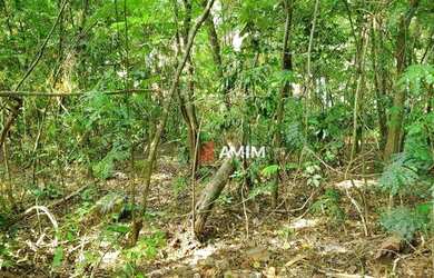 Imagem 13: Terreno à venda, 7963 m² por R$ 3.700.000,00 - Itaipu - Niterói/RJ