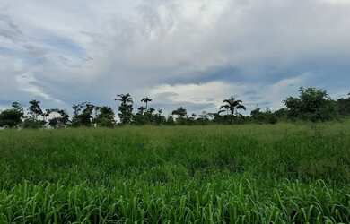 Imagem: A fazenda está localizado em Asa Branca, Boa Vista à venda