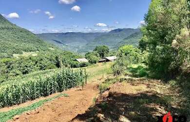 Imagem 9: Sítio / Chácara para Venda em Nova Petrópolis, Linha Pirajá Baixa