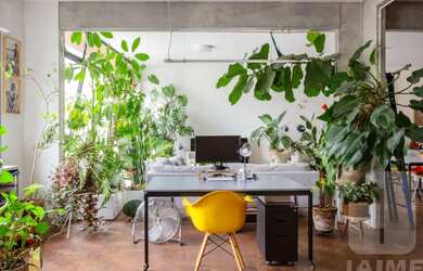 Imagem 2: Apartamento 02 dormitórios, 01 suíte em Higienópolis