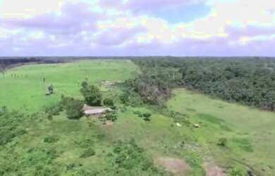 Imagem 2: R$2 milhões de reais fazenda a 80 km de Castanhal 50 alqueires
