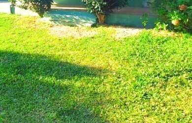 Imagem: A casa possui 2 Dormitórios, 1 Banheiro, 65m² de Área e