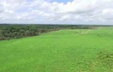 Imagem 9: R$2 milhões de reais fazenda a 80 km de Castanhal 50 alqueires