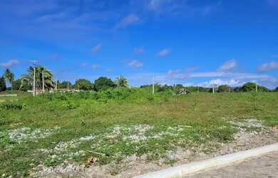 Imagem 11: Loteamento Vivencie Camara Perto Do Restaurante Benjamim Pronto Para Construir...