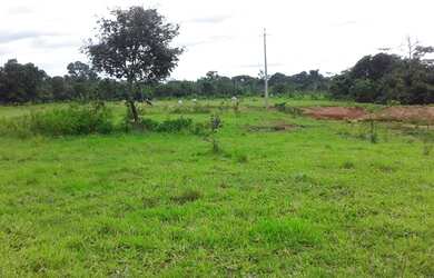 Imagem: A fazenda possui 1.230.000m² de Área e está localizado em