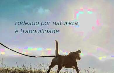 Imagem 8: Terreno à venda em Paulinia loteamento aberto por R$ 134.850 á vista-...