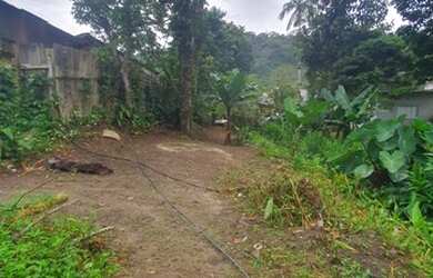 Imagem 16: Vendo ou permuta casa em ubatuba por chácara ou area na serra da mantiqueira