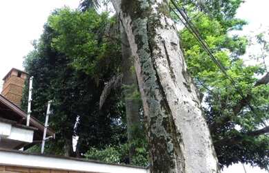 Imagem 6: Sobrado residencial para venda e locação, Penha de França, São Paulo - SO11727