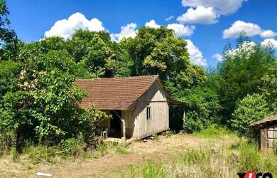 Imagem 11: Sítio / Chácara para Venda em Nova Petrópolis, Pinhal Alto, 3 dormitórios,...
