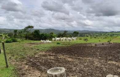 Imagem 6: Fazenda a venda em Davinópolis Goiás