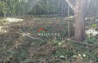 Imagem 9: Lote em condomínio em Estrada do Felipe - Chácara Rincão - Cotia/SP