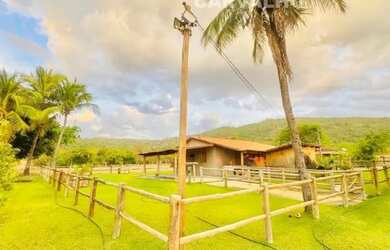 Imagem 14: Fazenda a venda em Faina-GO