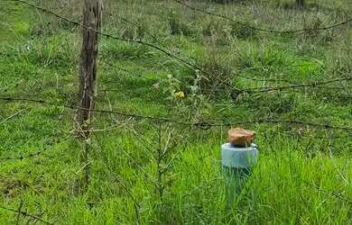 Imagem: A chácara possui 624.000m² de Área e está localizado em