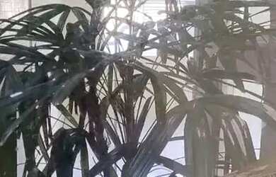 Imagem 6: IVS IMOBILIARIA ALUGA TRIPLEX EM VARGEM GRANDE