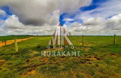 Imagem 8: FAZENDA - MARECHAL CANDIDO RONDON - PR