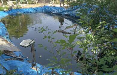 Imagem: A chácara possui 4.500m² de Área e está localizado em Juquitiba