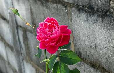 Imagem 12: Vendo ou troco. Varanda, 225m² de Área, 5 Vagas na garageme1 Dormitório