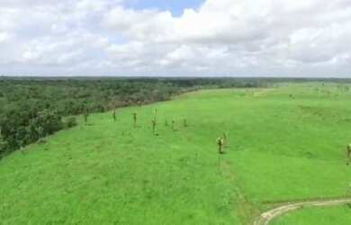 Imagem 5: R$2 milhões de reais fazenda a 80 km de Castanhal 50 alqueires