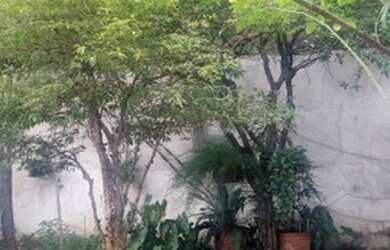 Imagem 16: Casa para venda possui 205 metros quadrados com 3 quartos em Jaguaré - São Paulo - SP