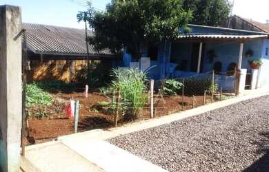 Imagem: O terreno e está localizado em Alto Alegre, Cascavel à venda