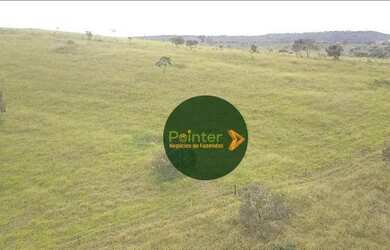 Imagem 9: Fazenda à venda, 72 hectares por R$ 2.500.000 - Zona Rural - Luziânia/GO
