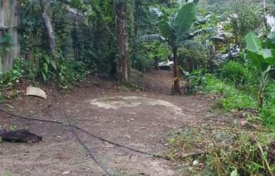 Imagem 15: Vendo ou permuta casa em ubatuba por chácara ou area na serra da mantiqueira