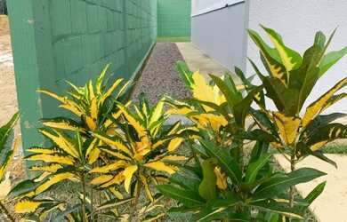 Imagem 13: Condomínio Mirante do Tarumã , Ponta negra, Manaus - AM