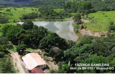 Imagem: A fazenda possui 53m² de Área e está localizado em Cocalzinho