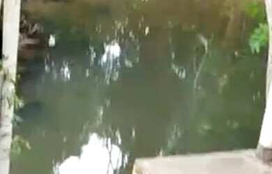 Imagem 9: Vende-se chácara c/ banho Próximo a Vila Recrear 40km de Boa Vista RR