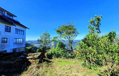 Imagem 2: Terreno para Venda em Nova Petrópolis, Vila Olinda