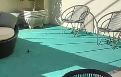 Imagem 3: Apartamento a venda no edifício Spot Club House em Bauru -SP