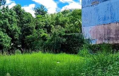 Imagem 4: Terreno plano em condomínio exclusivo na Barra da Tijuca Segurança e natureza ao seu redo