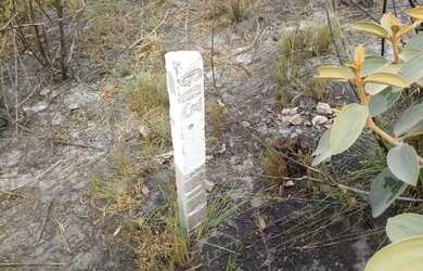 Imagem 2: Terreno 3 hectares. 30.000m² de Área