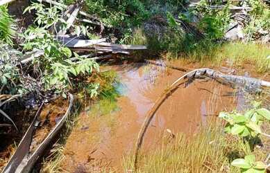 Imagem 13: Fazenda para comprar Zona Rural Três Marias