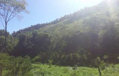 Imagem 5: Vendo - Fazenda 66.5 Alqueires Montividiu do Norte