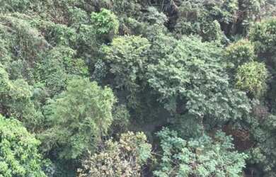 Imagem 1: somente hj apto maravilhoso