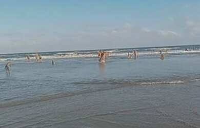 Imagem 2: Kitnet / Bangalô. 18m² de Área, 1 Banheiroe1 Dormitório