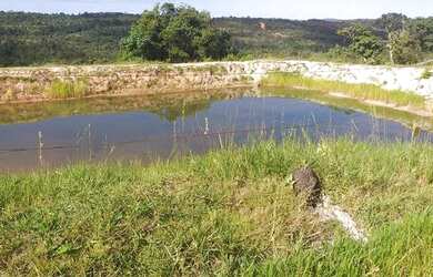Imagem: A fazenda está localizado em Tesouro, MT à venda por R$4.140.000
