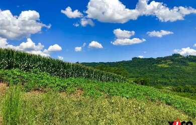 Imagem 7: Sítio / Chácara para Venda em Nova Petrópolis, Pinhal Alto, 3 dormitórios,...