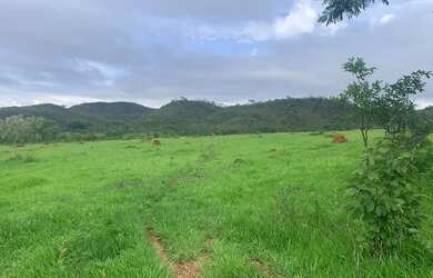 Imagem: A fazenda está localizado em Samambaia Sul, Brasília para