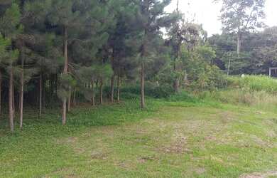 Imagem: Terreno para Chácara na estrada do Verava - Ibiuna